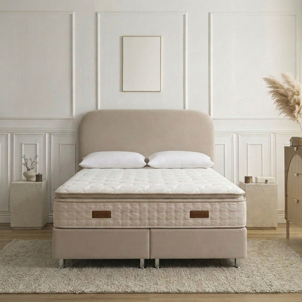 Pack Lit Coffre Jade - Velours Beige Anti-Tâche + Matelas 30cm + 2 Oreillers Offerts